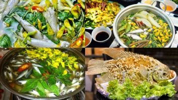 Món cá ngon bạn nên thưởng thức khi du lịch Đồng Tháp