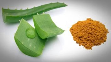 Cách trị mụn bằng Nha đam hiệu quả nhất tại nhà