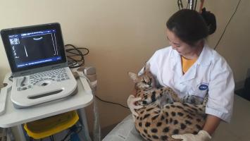 Phòng khám thú y uy tín nhất tại TP. Nha Trang, Khánh Hòa