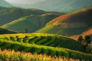 Ruộng bậc thang đẹp nhất thế giới