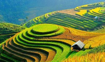 Bài văn thuyết minh về ruộng bậc thang Mù Cang Chải hay nhất