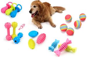 Shop bán phụ kiện thú cưng tốt nhất Quận Tây Hồ, Hà Nội