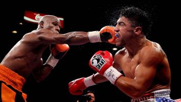 Sản phẩm găng tay boxing được dùng nhiều nhất hiện nay