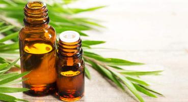 Tinh dầu tràm trà tốt nhất hiện nay