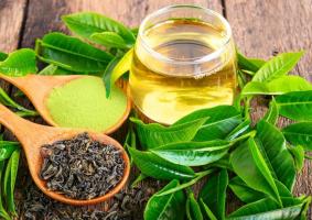 Trà giải độc gan tốt nhất trên thị trường hiện nay