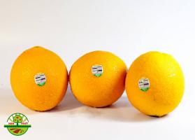 Cửa hàng trái cây sạch và an toàn tại quận Tân Bình, TP. HCM