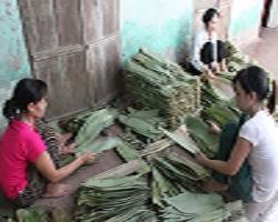 Triệu phú nông dân khởi nghiệp từ nghèo khó