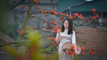 Tản văn viết về hoa gạo hay nhất