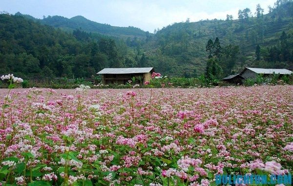 Hãy chọn thời điểm đi phù hợp với điểm đến