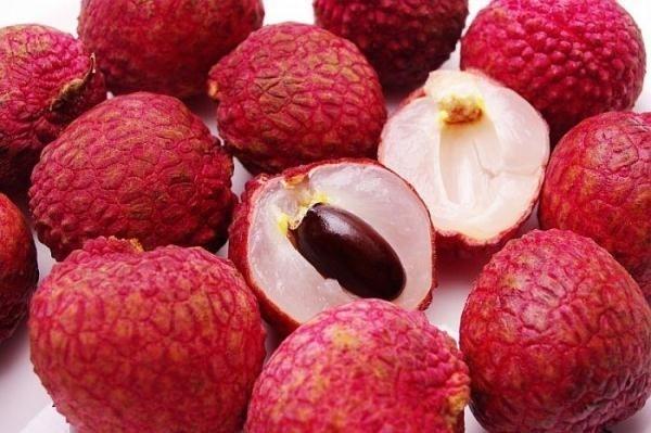 Vải thiều Thanh Hà nổi tiếng
