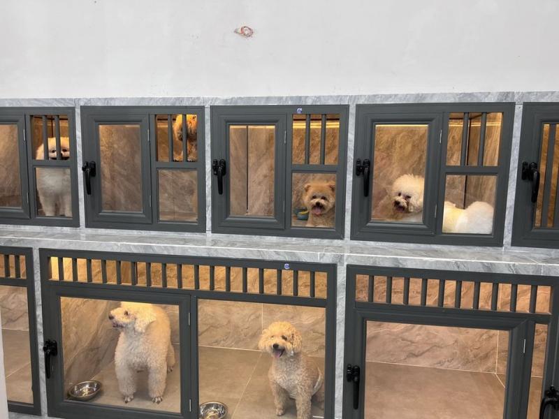 ALOHA Petshop