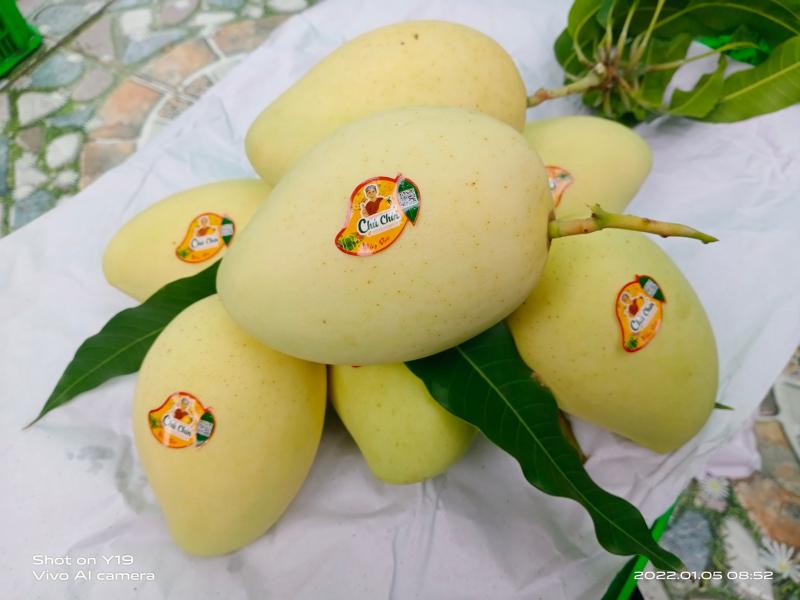 An Mộc - Thực phẩm sạch Hải Phòng