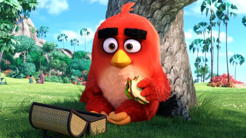 Angry Bird