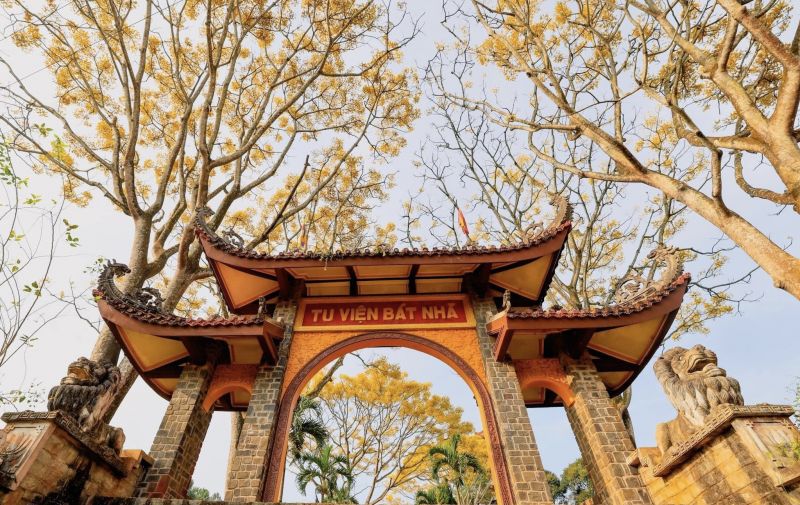Anh có về Bảo Lộc với em không