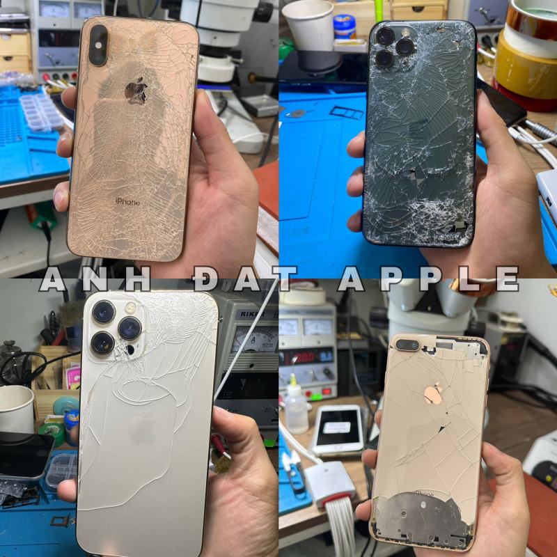 Anh Đạt Apple