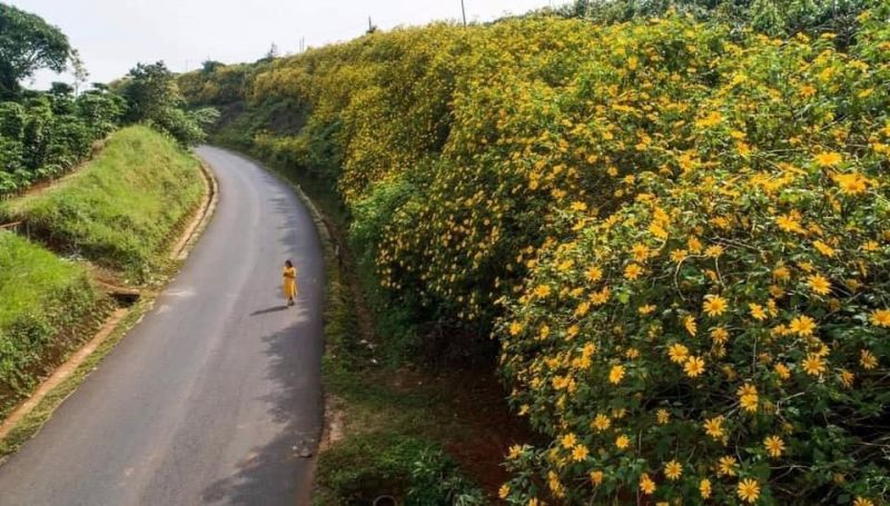 B.A Homestay Bảo Lộc