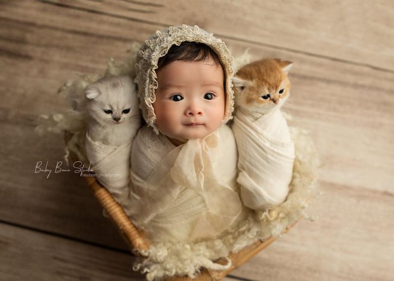 Baby Bean Studio