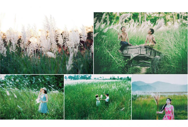 Bãi bồi sông Hồng - địa chỉ sống ảo cực chất