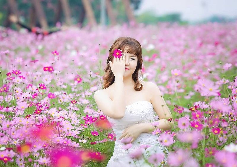 Bãi đá sông Hồng
