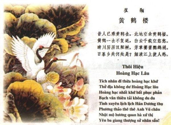 Hình minh họa