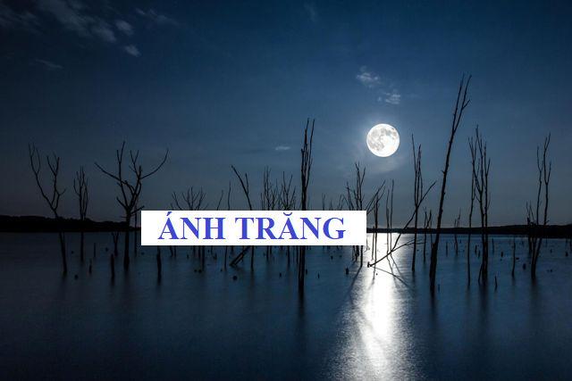 Hình minh họa