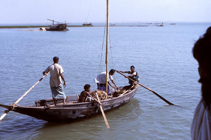 Hình minh hoạ