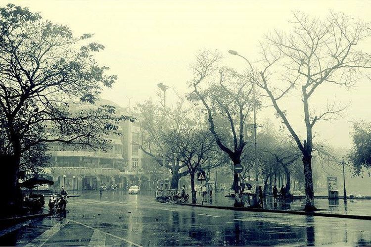 Ảnh minh họa (nguồn internet)