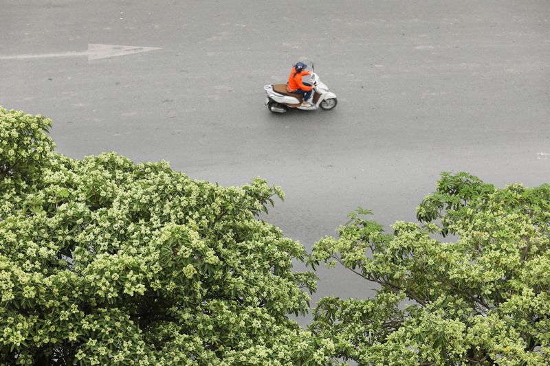 Ảnh minh họa (nguồn internet)