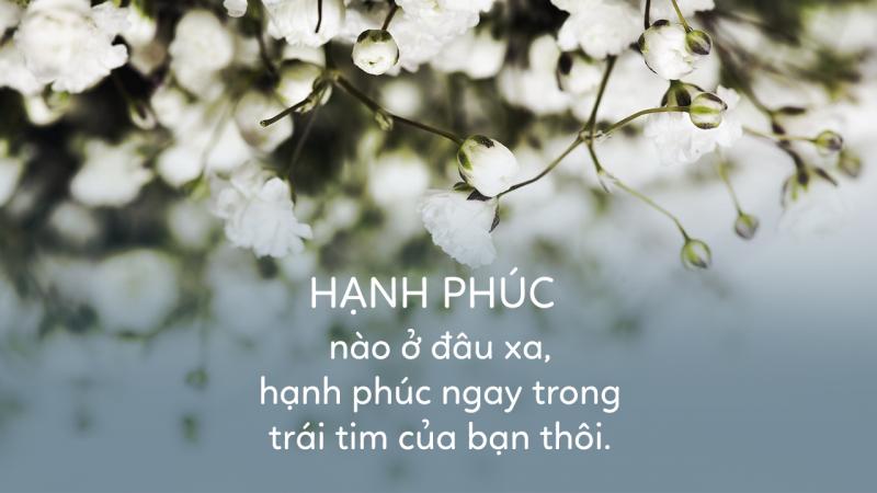 Ảnh minh họa (nguồn internet)