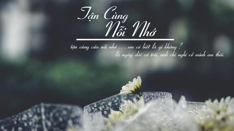 Gặp lại người dưng