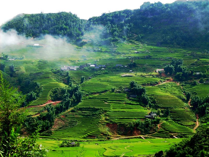 Ảnh minh họa (nguồn internet)
