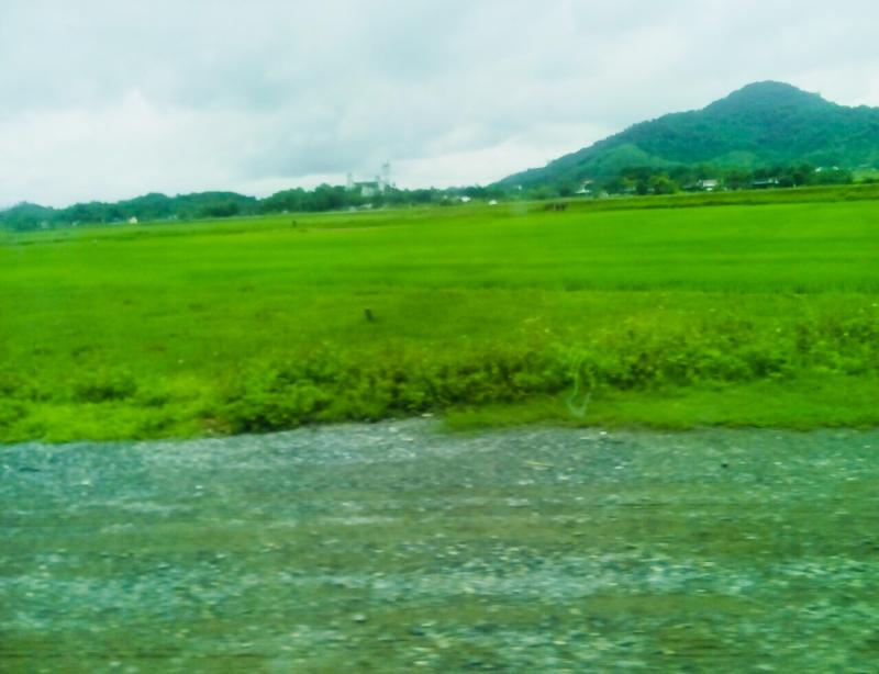 Ảnh minh họa Nguyễn Hương
