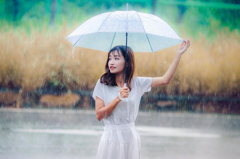 Ảnh minh họa (Nguồn internet)