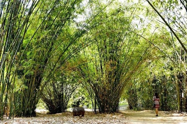 Hình minh hoạ
