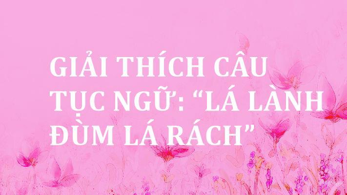 Ảnh minh họa (Nguồn internet)