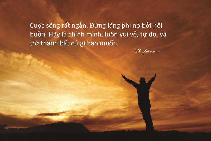 Hình minh hoạ