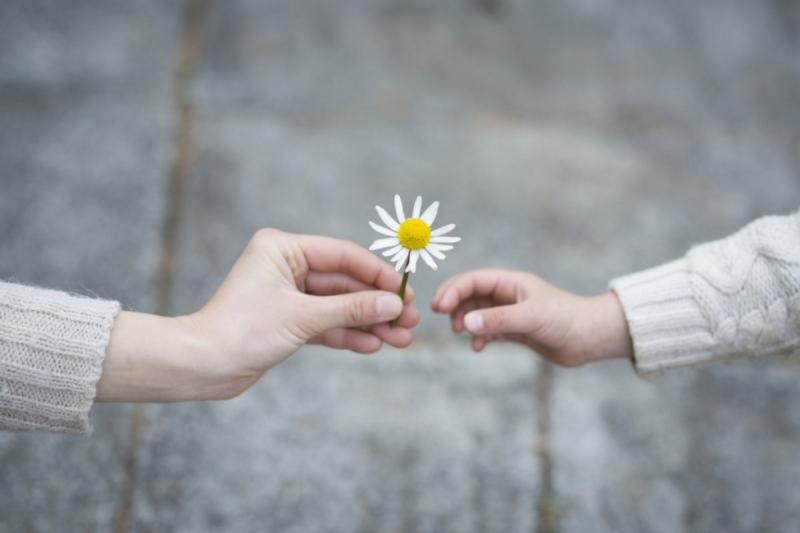 “Hãy yêu nữa, yêu nhau mãi mãi”