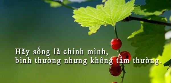 Bài văn nghị luận về chủ đề 