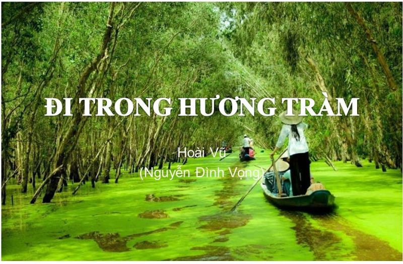 Hình minh hoạ﻿