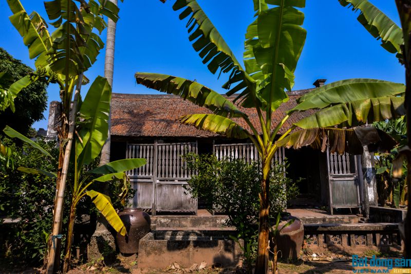 Bài văn phân tích tác phẩm 
