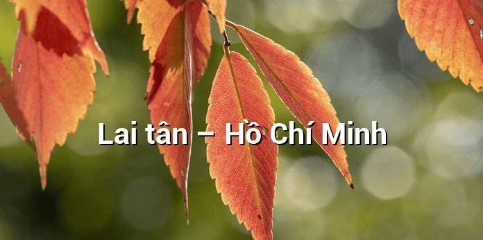 Ảnh minh họa (Nguồn internet)
