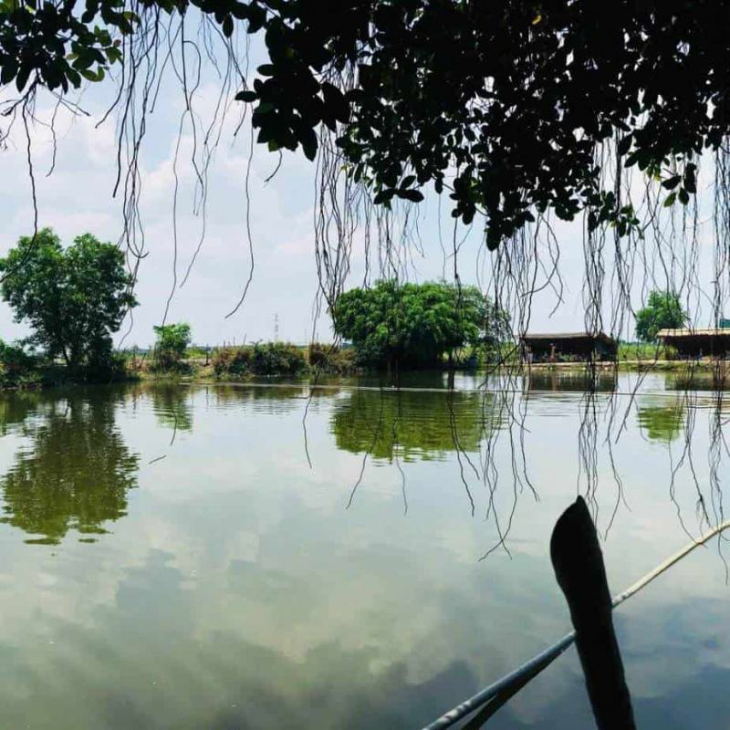 Bài văn phân tích vẻ đẹp tâm hồn Nguyễn Trãi qua bài thơ 