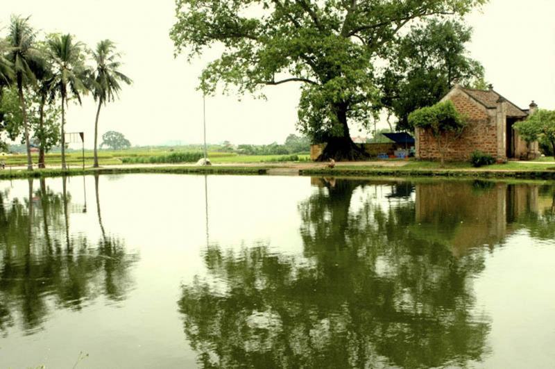 Bài văn phân tích vẻ đẹp tâm hồn Nguyễn Trãi qua bài thơ 