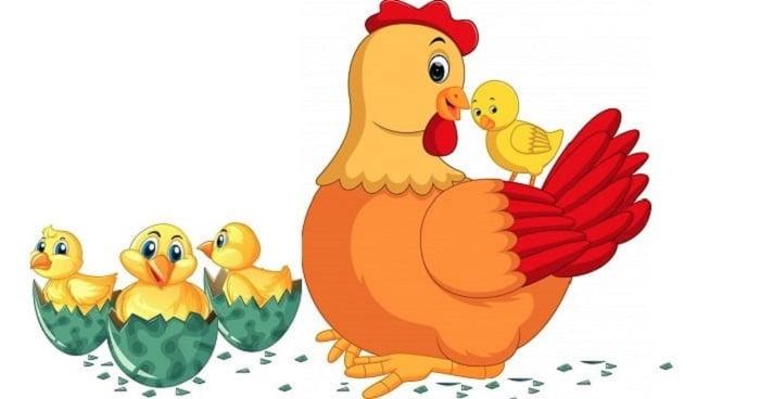 Bài văn tả đàn gà con hay nhất số 3