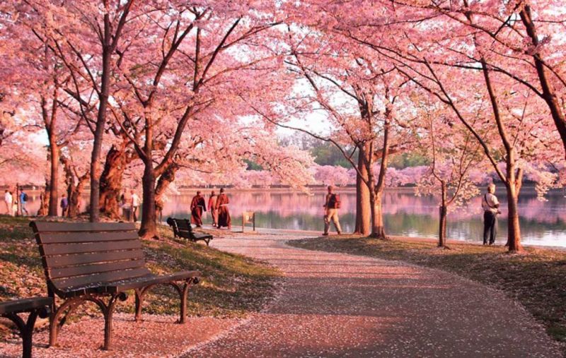 Bài văn tả mùa xuân số 9