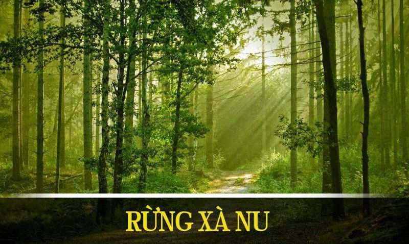 Bài văn tham khảo số 4
