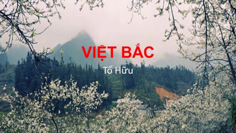 Hình minh họa