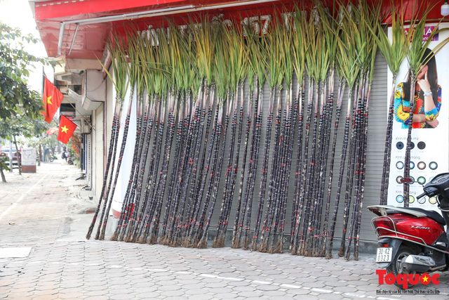 Kinh doanh mía lộc đêm giao thừa