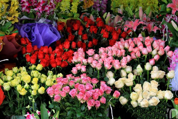 Bán hoa tươi - Cách kinh doanh thu lợi nhuận cao trong dịp Tết