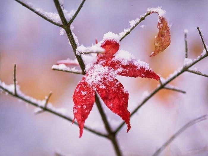 Rét đầu mùa nhớ người đi phía biển